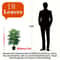 315Inch Artificial Fan Palm Tree Large Fake Tropical Plant For Indoor Outdoor Home Decor 7