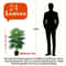 315Inch Artificial Fan Palm Tree Large Fake Tropical Plant For Indoor Outdoor Home Decor 8