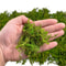 Artificial Decorative Moss Grass Fake Craft Moss For Potted Plants Centerpiece Decor 3