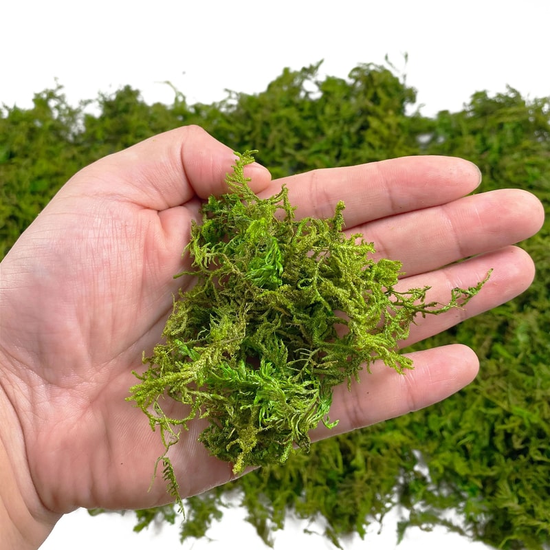 Artificial Decorative Moss Grass Fake Craft Moss For Potted Plants Centerpiece Decor 3