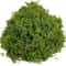 Artificial Decorative Moss Grass Fake Craft Moss For Potted Plants Centerpiece Decor 9