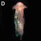 DIY Jellyfish Night Light Portable Ocean LED Hanging Lamp For Bedroom Party Decor 9
