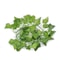 Artificial Green Ivy LED Garland Hanging Leaf Light String For Room Wedding Decor 7