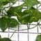 Artificial Green Ivy LED Garland Hanging Leaf Light String For Room Wedding Decor 12