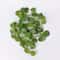Artificial Green Ivy LED Garland Hanging Leaf Light String For Room Wedding Decor 13
