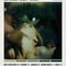 Deftones Album Cover Canvas Wall Art Alternative Rock Music Poster Decor 12