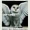 Deftones Album Cover Canvas Wall Art Alternative Rock Music Poster Decor 13