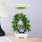 Artificial Potted Bonsai Plant Mini Fake Tree Decoration For Home Office Hotel Decor 9