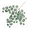 Artificial Eucalyptus Leaf Vine Faux Greenery Garland For Wedding Home DIY Decor 2