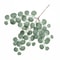 Artificial Eucalyptus Leaf Vine Faux Greenery Garland For Wedding Home DIY Decor 2