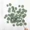 Artificial Eucalyptus Leaf Vine Faux Greenery Garland For Wedding Home DIY Decor 6