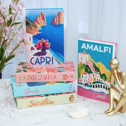 decorative fake book storage box coffee table home decor organizer amalfi travel series