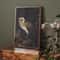 Vintage Owl Canvas Wall Art Dark Academia Cottagecore Nature Poster Print 1