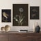 Vintage Owl Canvas Wall Art Dark Academia Cottagecore Nature Poster Print 3