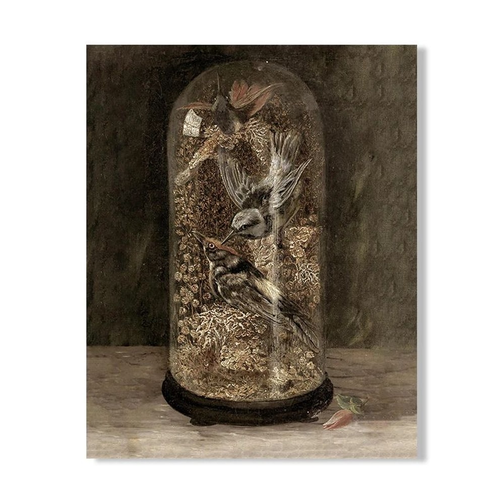 Vintage Owl Canvas Wall Art Dark Academia Cottagecore Nature Poster Print 12