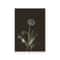 Vintage Owl Canvas Wall Art Dark Academia Cottagecore Nature Poster Print 16