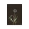 Vintage Owl Canvas Wall Art Dark Academia Cottagecore Nature Poster Print 16