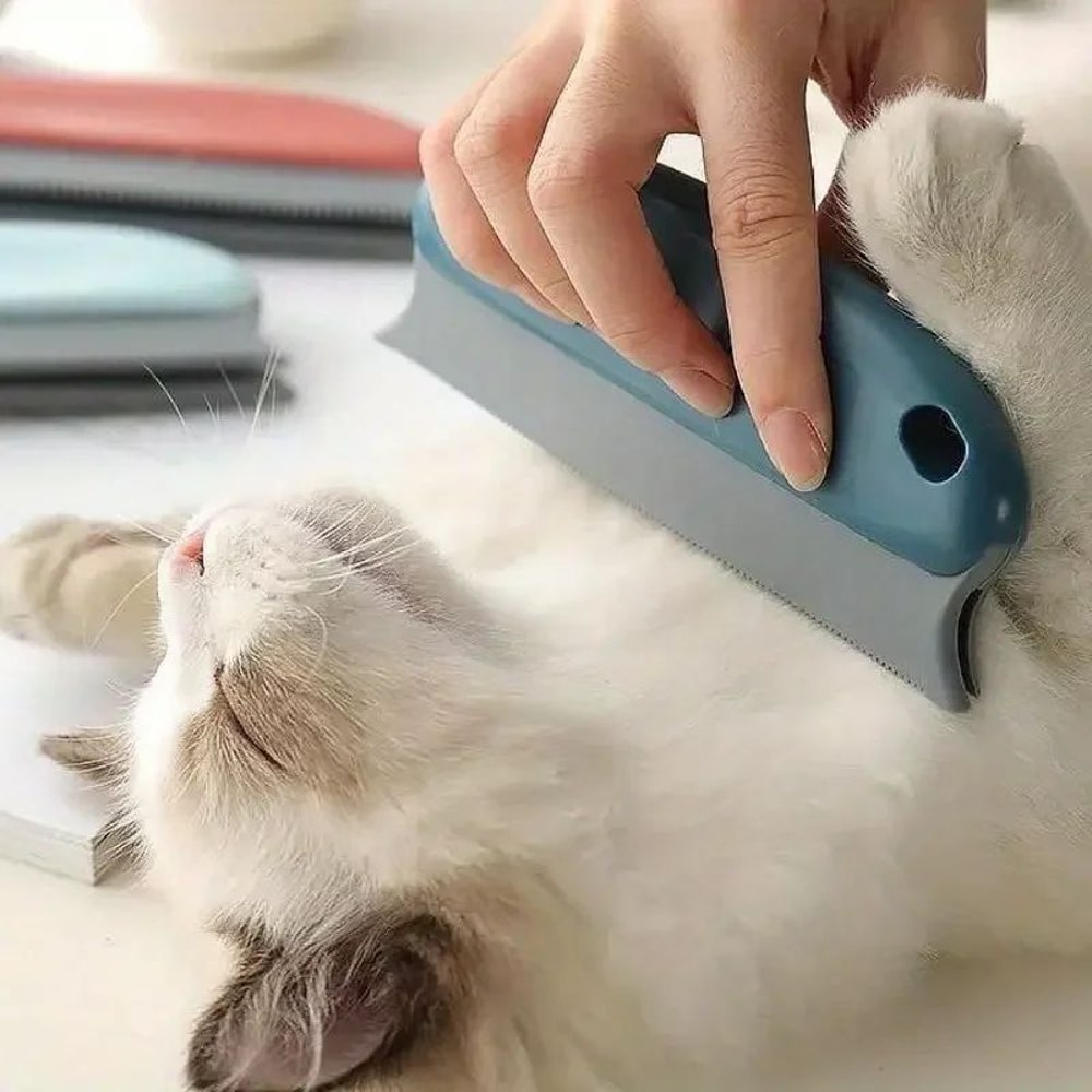 Reusable Pet Hair Remover Brush Portable Fur Lint Cleaner For Furniture Carpets Clothes Car Inte 1