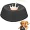 Slow Feeder Dog Bowl With Lick Mat AntiChoking NonSlip Pet Bowl For Bone Broth Yogurt Treats 6