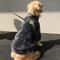 Winter Dog Jacket For Large Dogs Thick Windproof FleeceLined Coat For Medium Large Breeds 3
