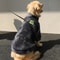 Winter Dog Jacket For Large Dogs Thick Windproof FleeceLined Coat For Medium Large Breeds 3