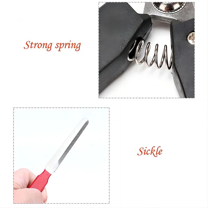 Professional Pet Nail Clippers Stainless Steel Dog Cat Nail Trimmer For Safe Grooming 2