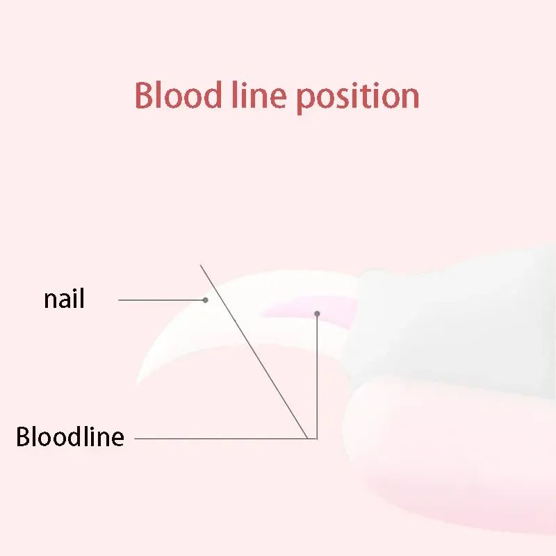 Professional Pet Nail Clippers Stainless Steel Dog Cat Nail Trimmer For Safe Grooming 4