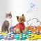 Dog Communication Buttons Recordable Pet Training Buttons For Dogs Cats 5