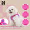 Reflective Dog Harness And Leash Set Adjustable NoPull Pet Vest For Small Medium Dogs 2
