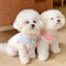 Summer Dog Shirt Lightweight Puppy TShirt For Small Dogs Pets 1