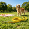 Heavy Duty Waterproof TPU Dog Leash Bite Resistant Training Lead With AntiSlip Handle For Small Me 1
