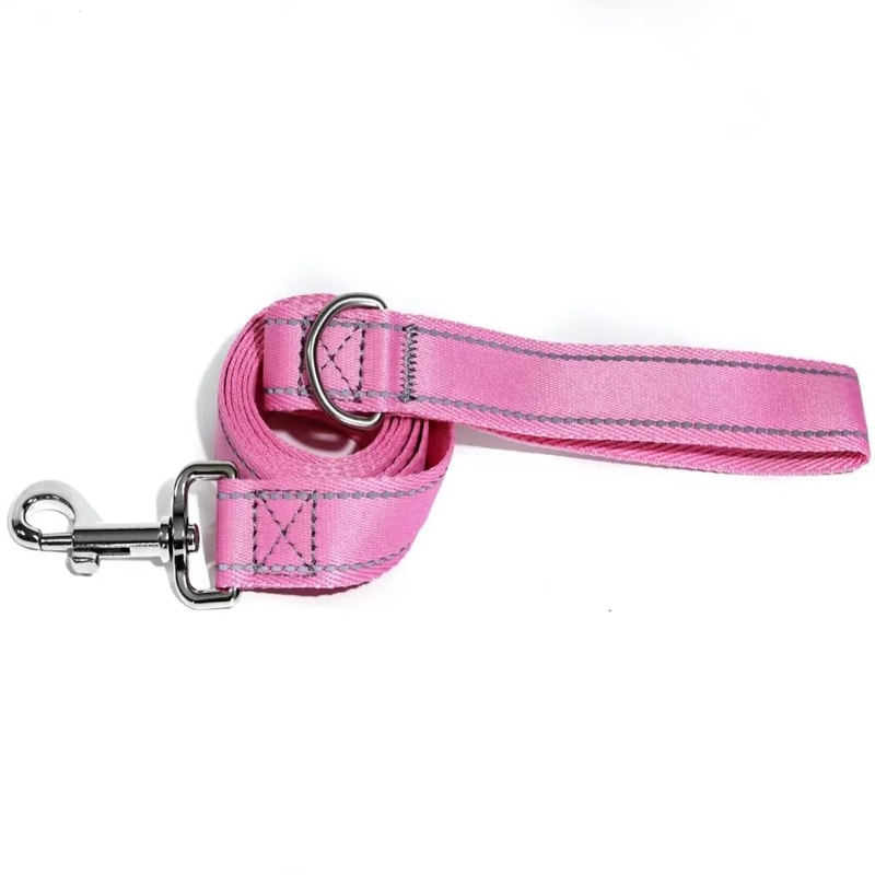 Reflective Nylon Dog Leash 5ft Heavy Duty Walking Lead With 360 Swivel Clasp Comfort Handle Night 10