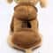 Cowboy Pocket Pet Sweater Warm TwoLegged Sports Jacket For Dogs Cats Autumn Winter Clothing 6