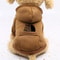 Cowboy Pocket Pet Sweater Warm TwoLegged Sports Jacket For Dogs Cats Autumn Winter Clothing 6
