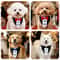 Pet Wedding Tuxedo Collar With Bow Tie Bandana Adjustable Formal Dog Cat Wedding Collar For Parti 2