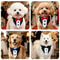 Pet Wedding Tuxedo Collar With Bow Tie Bandana Adjustable Formal Dog Cat Wedding Collar For Parti 2