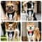 Pet Wedding Tuxedo Collar With Bow Tie Bandana Adjustable Formal Dog Cat Wedding Collar For Parti 3