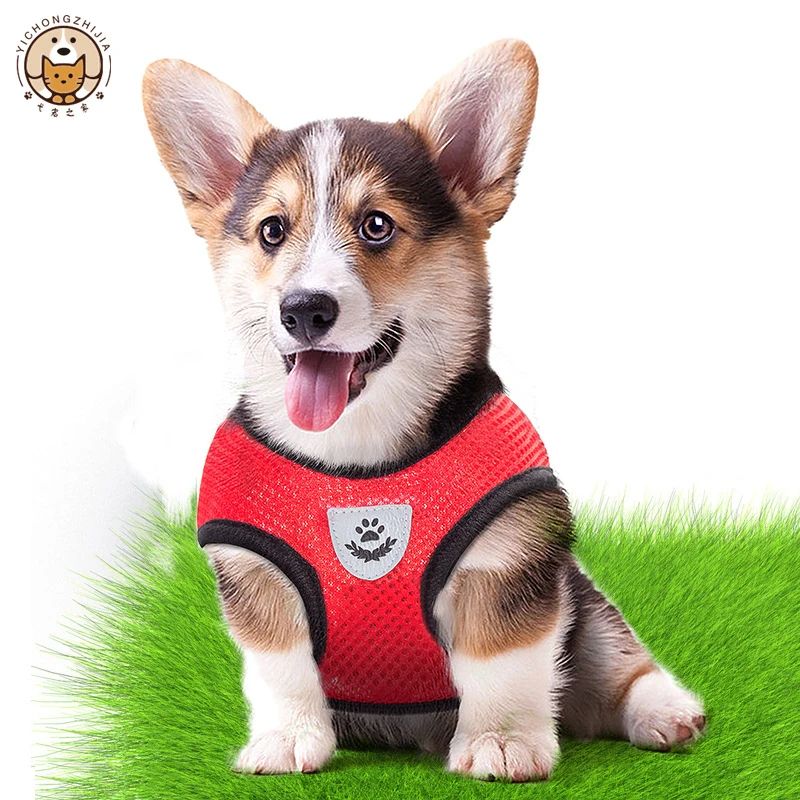 Adjustable Mesh Dog Harness Vest With Leash Breathable Walking Harness For Small Medium Dogs And 1