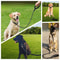 Heavy Duty Dog Training Leash Strong AntiPull Slip Rope Lead For Small Medium Large Dogs 1