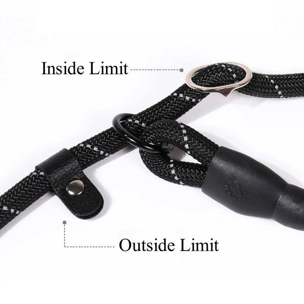 Heavy Duty Dog Training Leash Strong AntiPull Slip Rope Lead For Small Medium Large Dogs 3