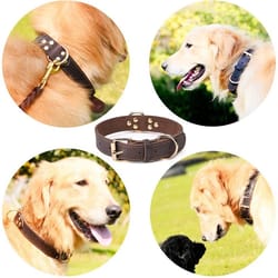 benepaw genuine leather dog collar – heavy duty double d-ring collar for medium & large dogs