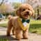 Pet Wedding Tuxedo Bandana Adjustable Dog Bib Scarf For Weddings Birthdays Special Occasions 1