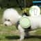 Portable Collapsible Silicone Dog Bowl Foldable Travel Pet Food Water Bowl For Dogs Cats 1