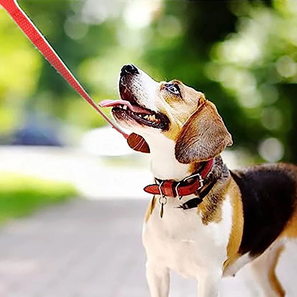 HeavyDuty Long Dog Training Leash Durable Nylon Walking Recall Lead For Small And Large Dogs 5