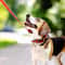HeavyDuty Long Dog Training Leash Durable Nylon Walking Recall Lead For Small And Large Dogs 5