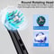 Rotary Rechargeable Electric Toothbrush For Adults 8 Soft Brush Heads Included 17