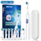 Rotary Rechargeable Electric Toothbrush For Adults 8 Soft Brush Heads Included 0