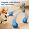 Smart USB Rechargeable Dog Toy Ball Automatic Rolling Bouncing Motion Interactive Chew Toy For A