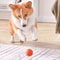 Smart USB Rechargeable Dog Toy Ball Automatic Rolling Bouncing Motion Interactive Chew Toy For A