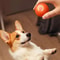 Smart USB Rechargeable Dog Toy Ball Automatic Rolling Bouncing Motion Interactive Chew Toy For A
